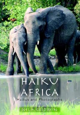 【预售】Haiku Africa: Haikus and Photographs