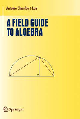 【预售】A Field Guide to Algebra