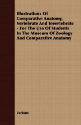 【预售】Illustrations of Comparative Anatomy, Vertebrate and