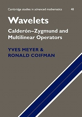 【预售】Wavelets: Calderon-Zygmund and Multilinear