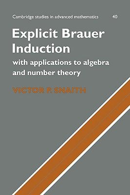 【预售】Explicit Brauer Induction: With Applications to