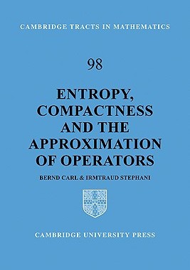 【预售】Entropy, Compactness and the Approximation of