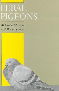 【预售】Feral Pigeons