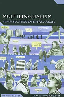 【预售】Multilingualism: A Critical Perspective