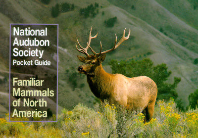 【预售】National Audubon Society Pocket Guide to Familiar