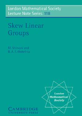 【预售】Skew Linear Groups