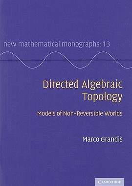 【预售】Directed Algebraic Topology: Models of