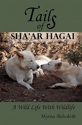 【预售】Tails of Sha'ar Hagai