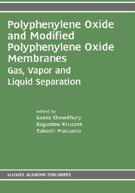 【预售】Polyphenylene Oxide and Modified Polyphenylene Oxide