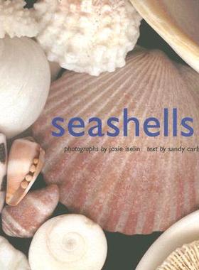 【预售】Seashells