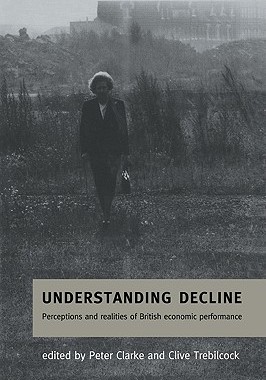 【预售】Understanding Decline: Perceptions and Realities of