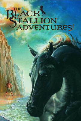 【预售】The Black Stallion Adventures! 4 Volume Boxed Set