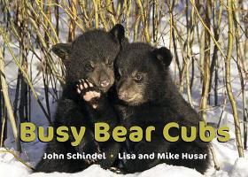 【预售】Busy Bear Cubs