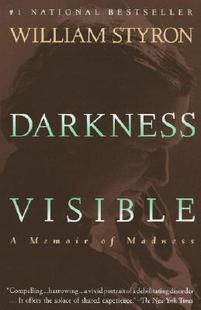 Visible Darkness Memoir Madness 预售