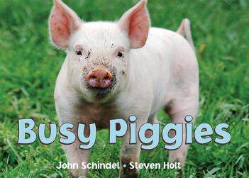 现货商品