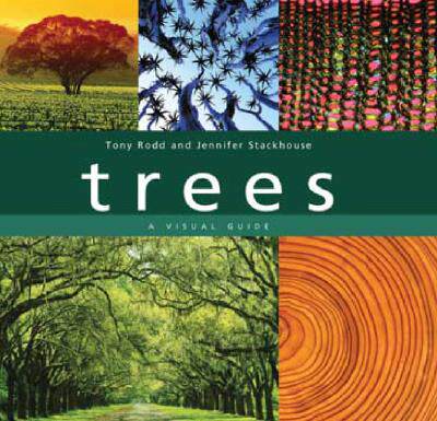 【预售】Trees: A Visual Guide