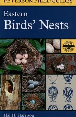 【预售】A Field Guide to Eastern Birds' Nests: United States