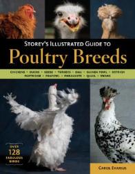 【预售】Storey's Illustrated Guide to Poultry Breeds