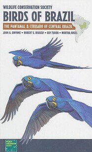 Conservation Society Birds Brazil Wildlife The 预售