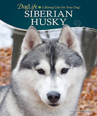 【预售】Siberian Husky