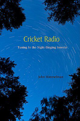 【预售】Cricket Radio: Tuning in the Night-Singing Insects