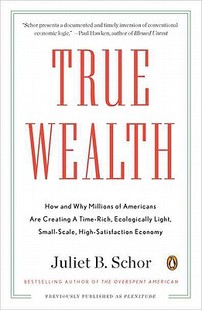 True 預(yù)售 and Wealth Why How Are Americans Millions
