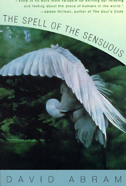 【预售】The Spell of the Sensuous: Perception and Language