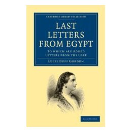 美国库房发货，通常付款后5-8周到货！