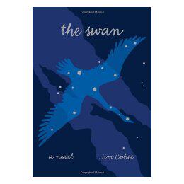 【预售】the swan