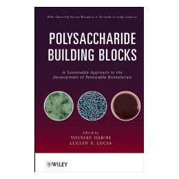 【预售】Polysaccharide Building Blocks: A Sustainable