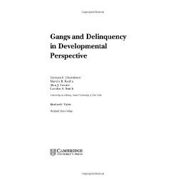 【预售】Gangs and Delinquency in Developmental Perspective