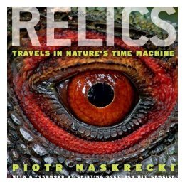 【预售】Relics: Travels in Nature's Time Machine