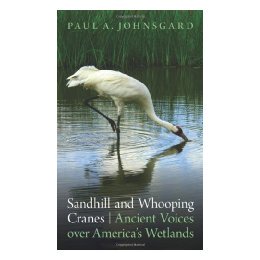 and Over Sandhill Ancient Voices Cranes 预售 Whooping