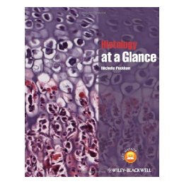 美国库房发货，通常付款后5-8周到货！