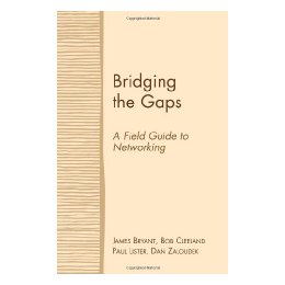 【预售】Bridging the Gaps