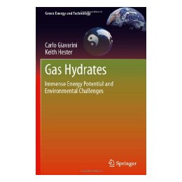 【预售】Gas Hydrates: Immense Energy Potential and