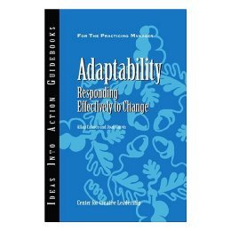 【预售】Adaptability: Responding Effectively To Change