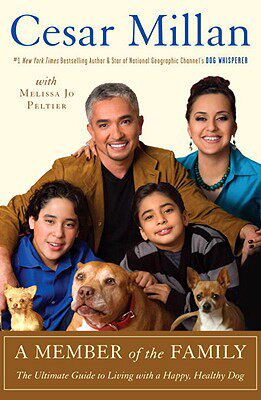 【预售】a member of the family: the ultimate guide to living