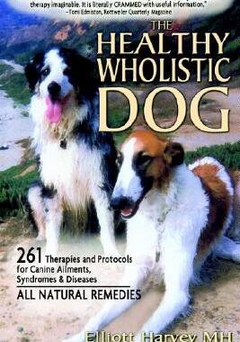 【预售】The Healthy Wholistic Dog