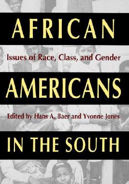 【预售】African Americans in the South: Issues of Race