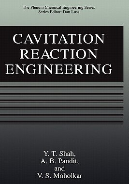 【预售】Cavitation Reaction Engineering