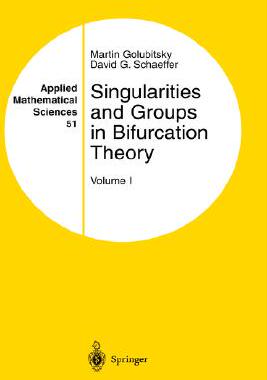【预售】Singularities and Groups in Bifurcation Theory: