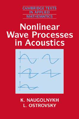 【预售】Nonlinear Wave Processes in Acoustics