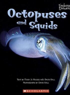 【预售】Octopuses and Squids