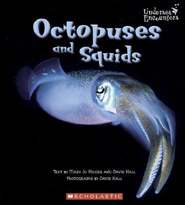 【预售】Octopuses and Squids
