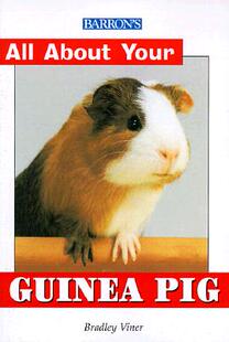 预售 about All Pig Your Guinea