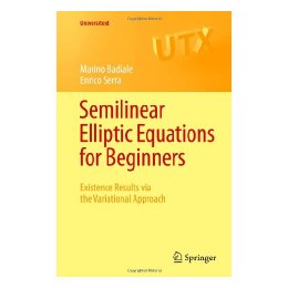 【预售】Semilinear Elliptic Equations for Beginners: