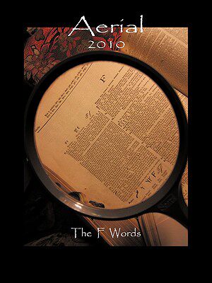【预售】Aerial: 2010