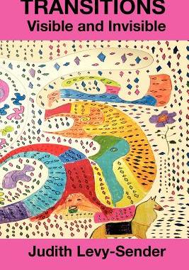 【预售】Transitions Visible and Invisible