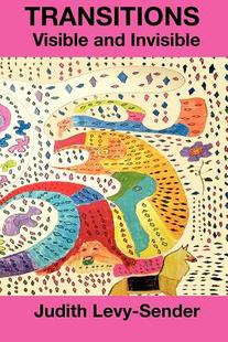 and Visible Transitions Invisible 预售